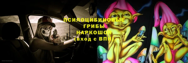 СК Вязники